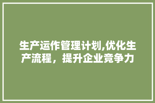 生产运作管理计划,优化生产流程，提升企业竞争力