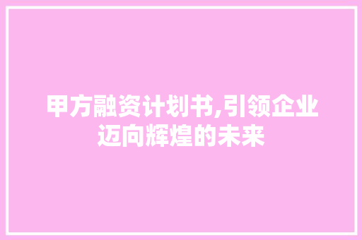 甲方融资计划书,引领企业迈向辉煌的未来