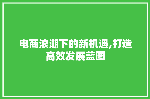 电商浪潮下的新机遇,打造高效发展蓝图