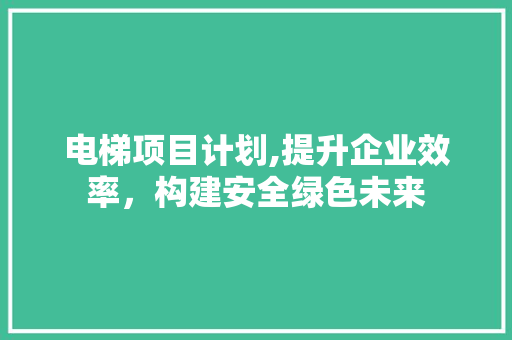 电梯项目计划,提升企业效率，构建安全绿色未来