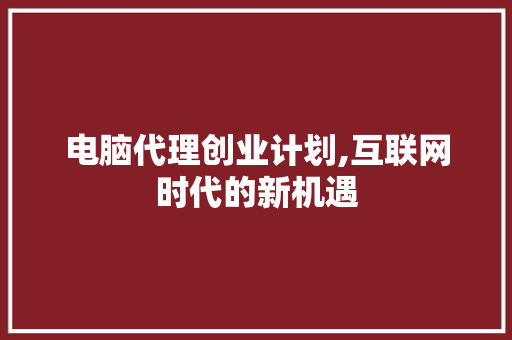 电脑代理创业计划,互联网时代的新机遇