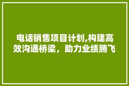 电话销售项目计划,构建高效沟通桥梁，助力业绩腾飞