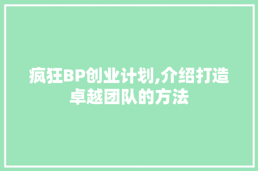 疯狂BP创业计划,介绍打造卓越团队的方法 综述范文