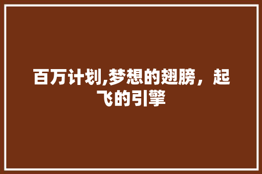 百万计划,梦想的翅膀，起飞的引擎