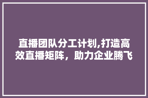 直播团队分工计划,打造高效直播矩阵，助力企业腾飞