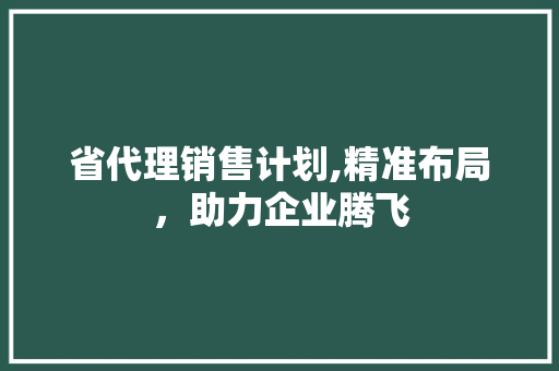 省代理销售计划,精准布局，助力企业腾飞