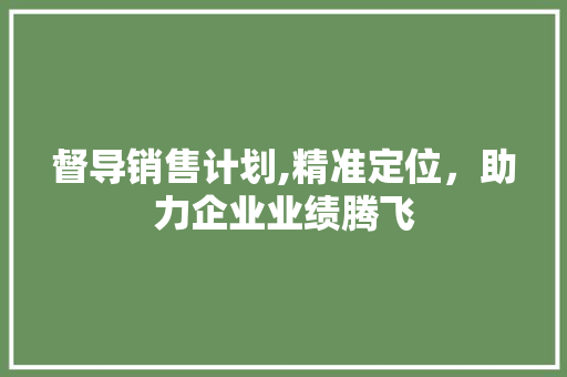 督导销售计划,精准定位，助力企业业绩腾飞