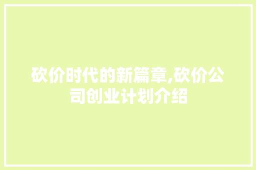 砍价时代的新篇章,砍价公司创业计划介绍