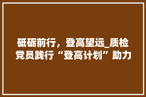 砥砺前行，登高望远_质检党员践行“登高计划”助力高质量发展