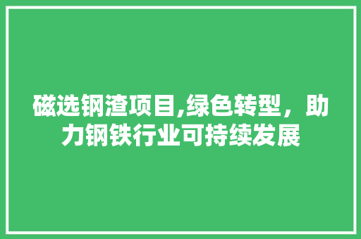 磁选钢渣项目,绿色转型，助力钢铁行业可持续发展