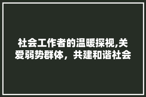 社会工作者的温暖探视,关爱弱势群体，共建和谐社会