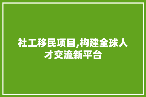 社工移民项目,构建全球人才交流新平台