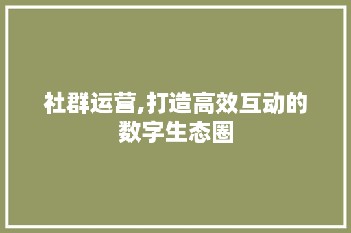 社群运营,打造高效互动的数字生态圈