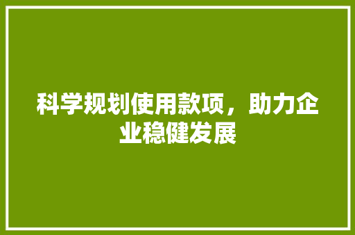 科学规划使用款项，助力企业稳健发展