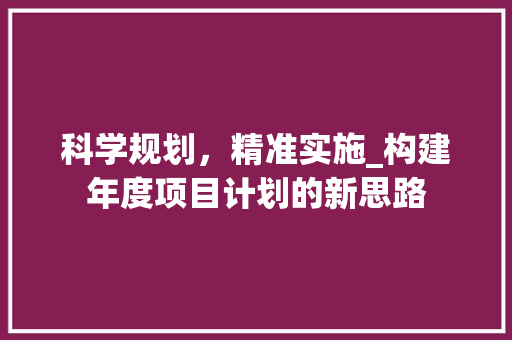 科学规划，精准实施_构建年度项目计划的新思路