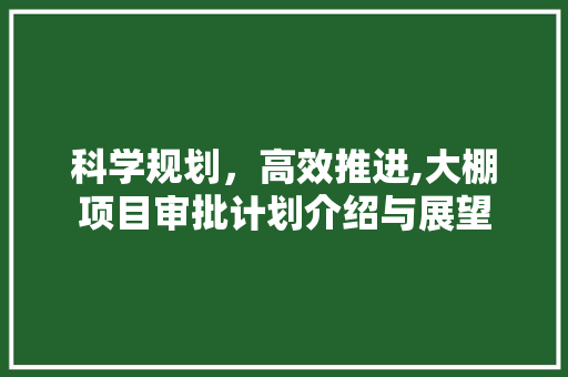 科学规划，高效推进,大棚项目审批计划介绍与展望