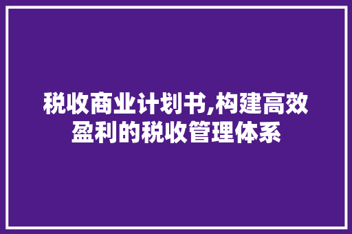 税收商业计划书,构建高效盈利的税收管理体系