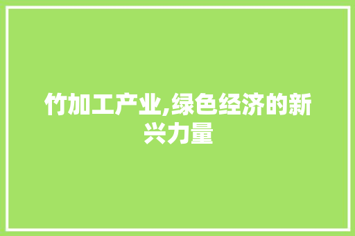 竹加工产业,绿色经济的新兴力量