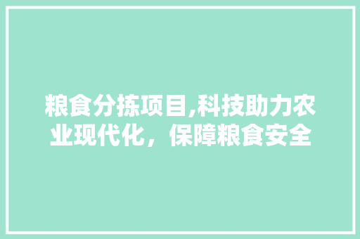 粮食分拣项目,科技助力农业现代化，保障粮食安全