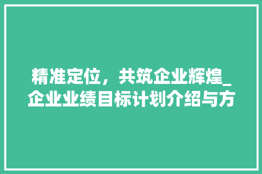 精准定位，共筑企业辉煌_企业业绩目标计划介绍与方法