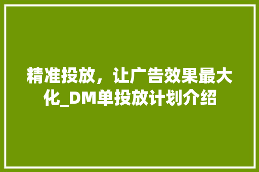 精准投放，让广告效果最大化_DM单投放计划介绍