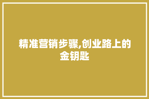 精准营销步骤,创业路上的金钥匙