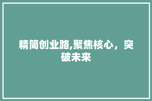 精简创业路,聚焦核心，突破未来