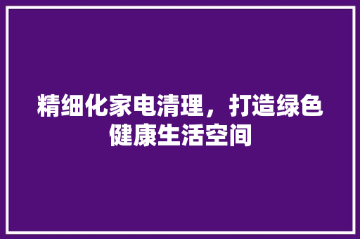 精细化家电清理，打造绿色健康生活空间