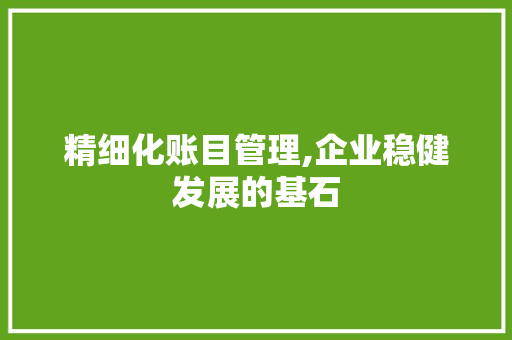 精细化账目管理,企业稳健发展的基石