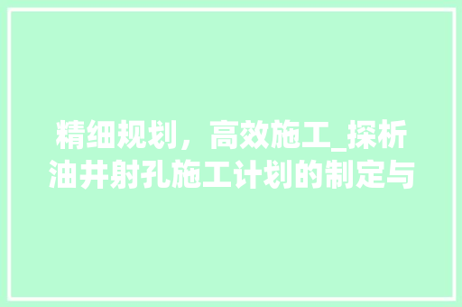 精细规划，高效施工_探析油井射孔施工计划的制定与实施